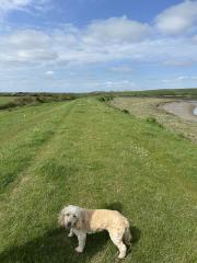 Canvey Island is mostly below sea level so walking on flood banks seems to be a common theme